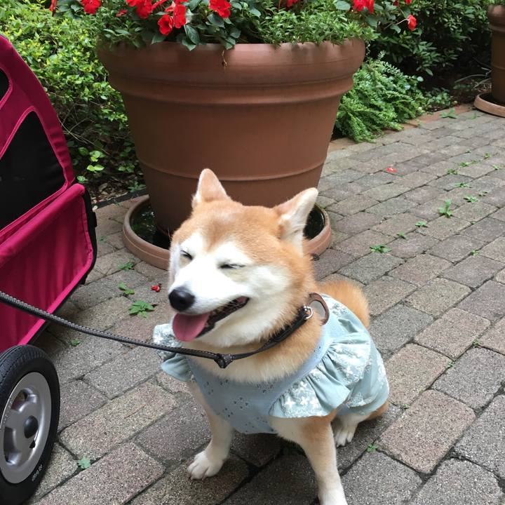 Fb723445 a5d3 4a3d 9c73 316a84695207 1528545190726