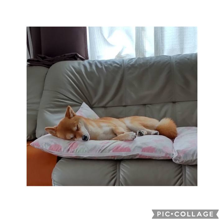 Fb724a72 45c1 4e77 86da 99da6ecdd787 1716177491607