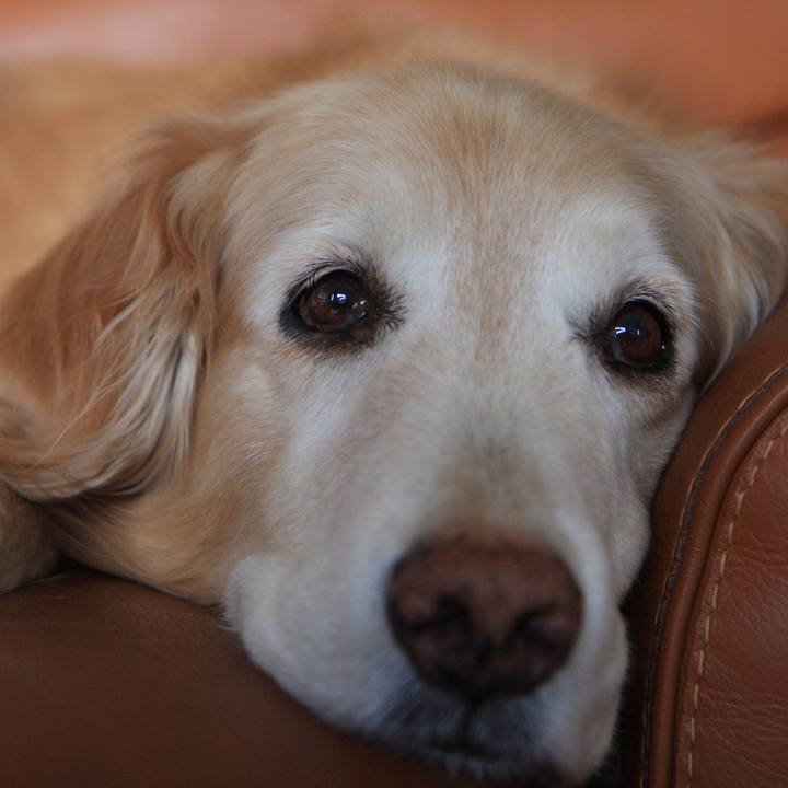 Fb7261ed 33f4 4baa a43e 463d35acdded 1762847008733