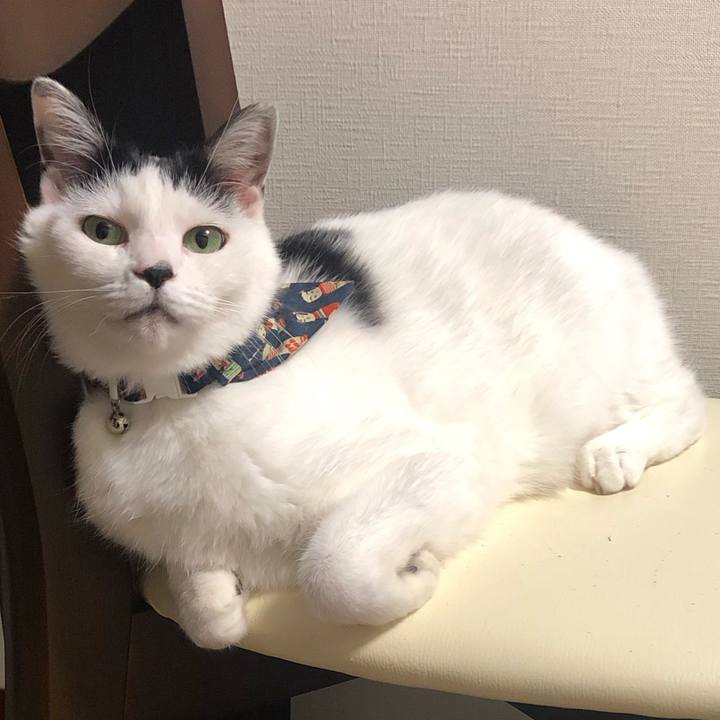 Fb7278e7 47ca 4463 b343 087856c4b026 1573395382751