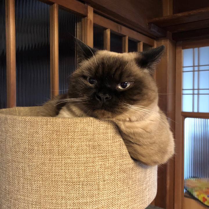 Fb72bbc7 08de 4388 836f 36938fd348ce 1610495459288