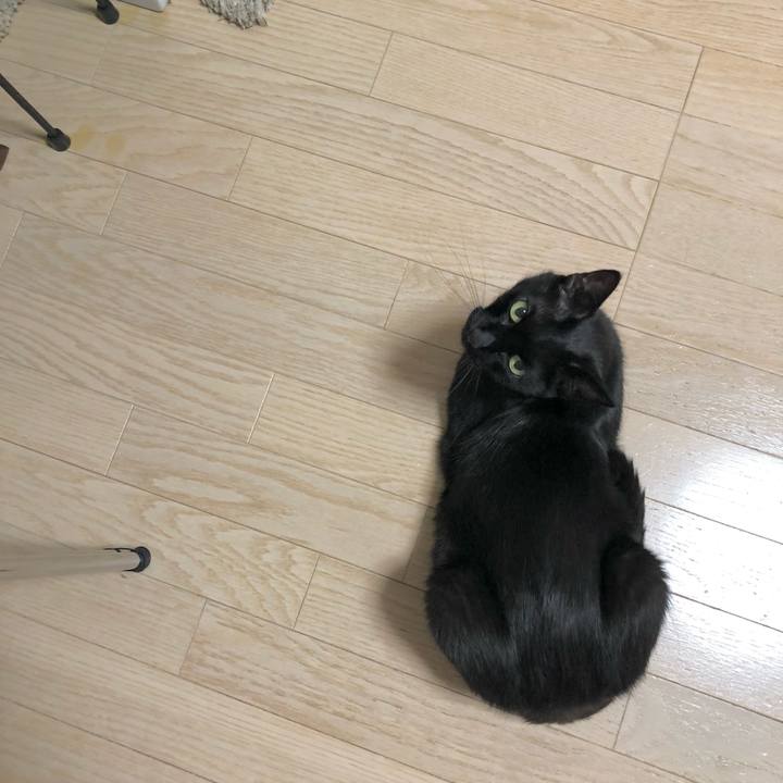 Fb72de38 e5b9 4d23 9e17 312291c76838 1626695616627