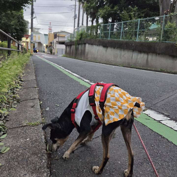 Fb72ec35 4964 4d6d 9c70 86d364e6f3a4 1754083553346