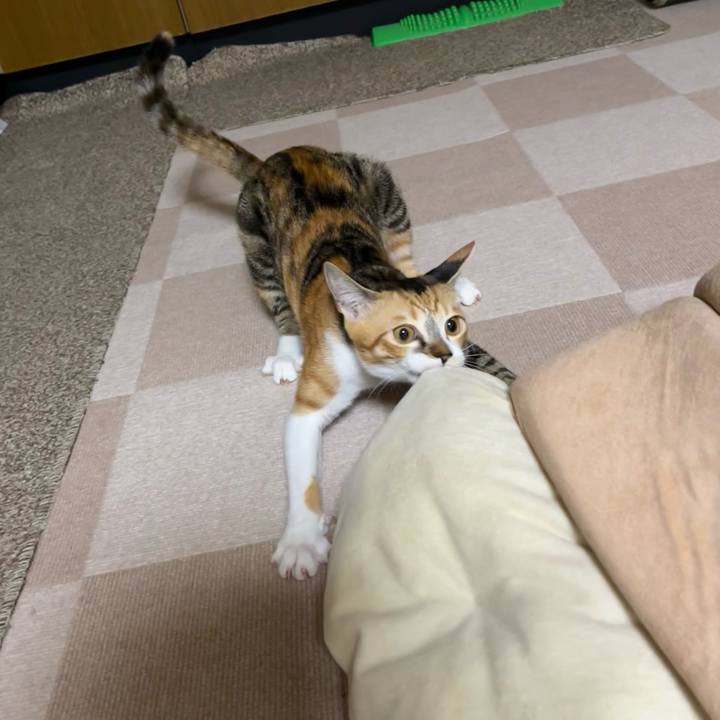 Fb72ed14 0938 46f8 a67d 85bcd8cfe45e 1664375235823