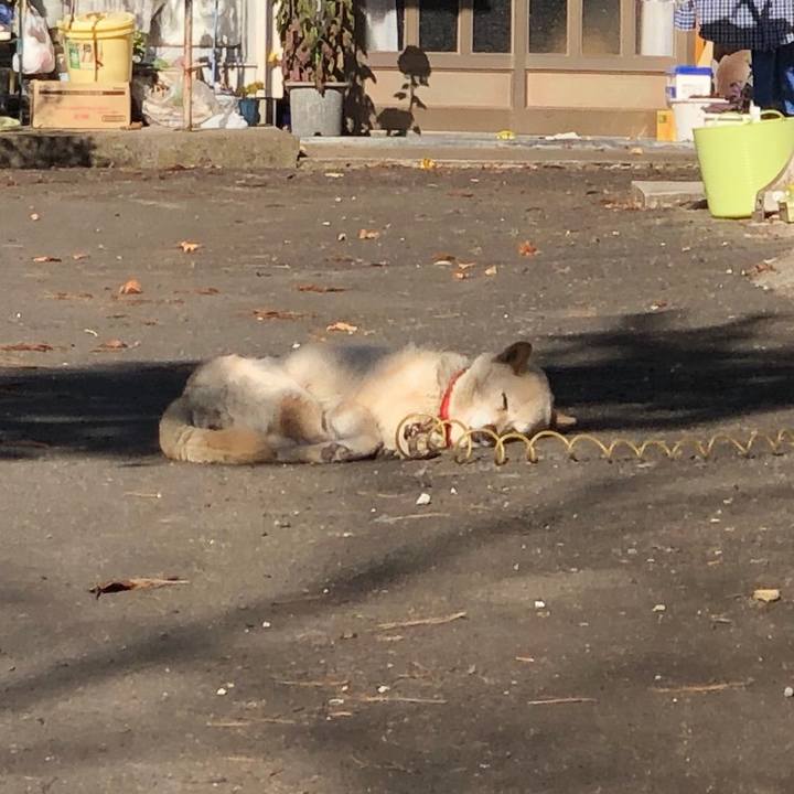 Fb734b57 6feb 4448 9e17 69a8cbf758d7 1543729204486