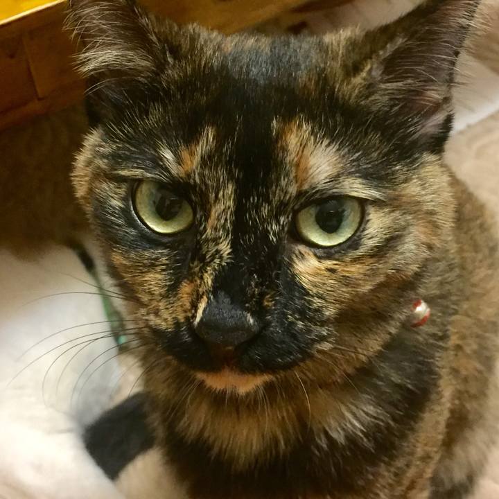 Fb736cc2 7eec 4614 aac9 1815439c5095 1603022481484