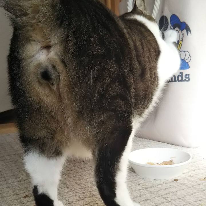 Fb737ebb 6324 4d63 bb97 db9694f6fb1f 1614384774679