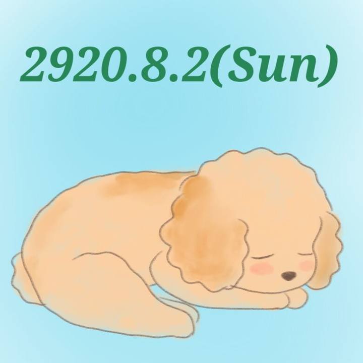 Fb73867b f693 4b19 bd23 078ad94e2312 1596366901560