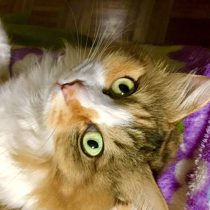 Fb73e2e2 a77e 4eeb 86b7 02881d840cb8 1559616082287