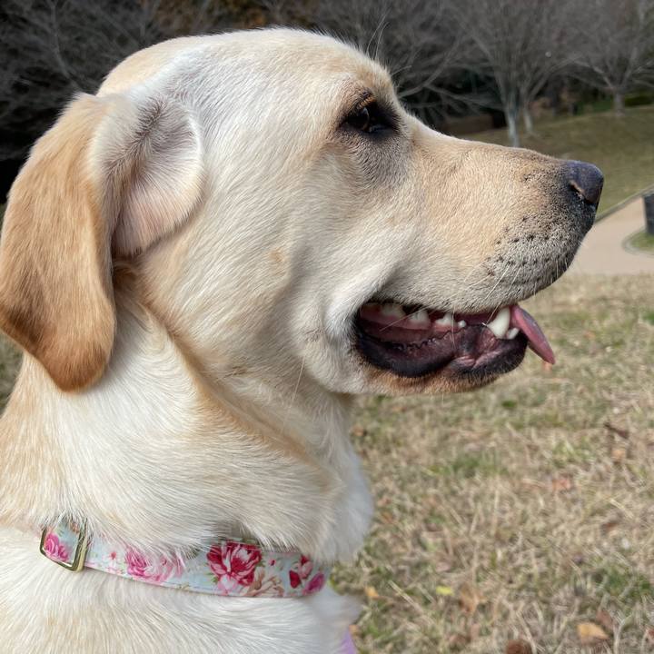 Fb741ccd 4056 4e5c 942f 9b338bb48663 1642216977745