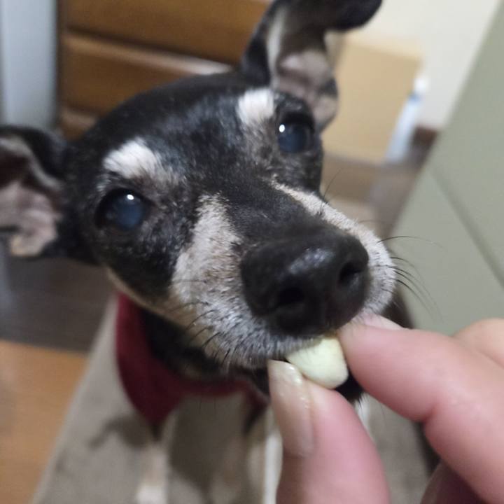 Fb741d2c abe3 498c 8f84 9909395c37d6 1762458543368