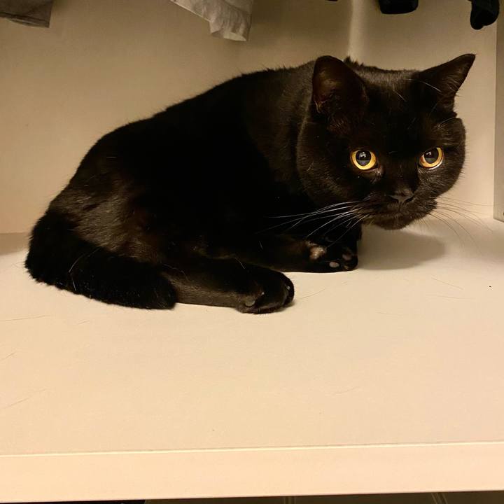 Fb742919 0ec7 4ce4 af26 1a987e44c776 1698927873494