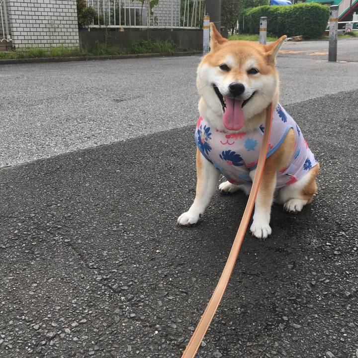 Fb742a64 a950 4197 b694 ef70952fae1b 1564616877782