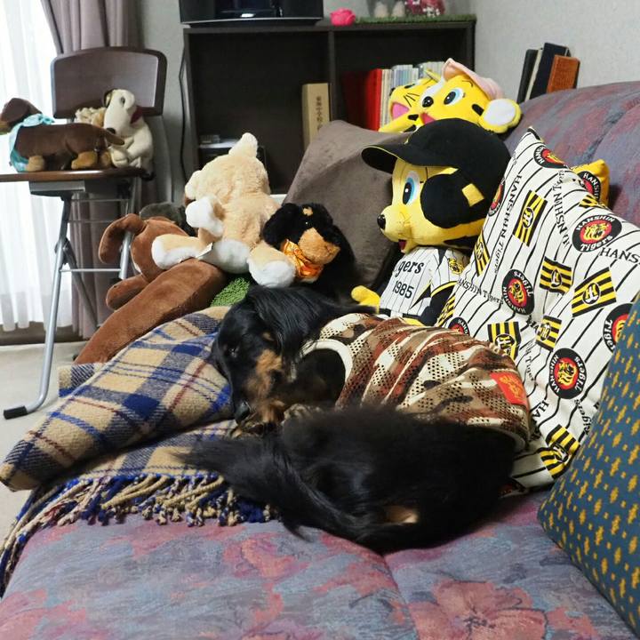 Fb742c9c 1120 4f87 9b4d d95a0ebfc599 1535429810067