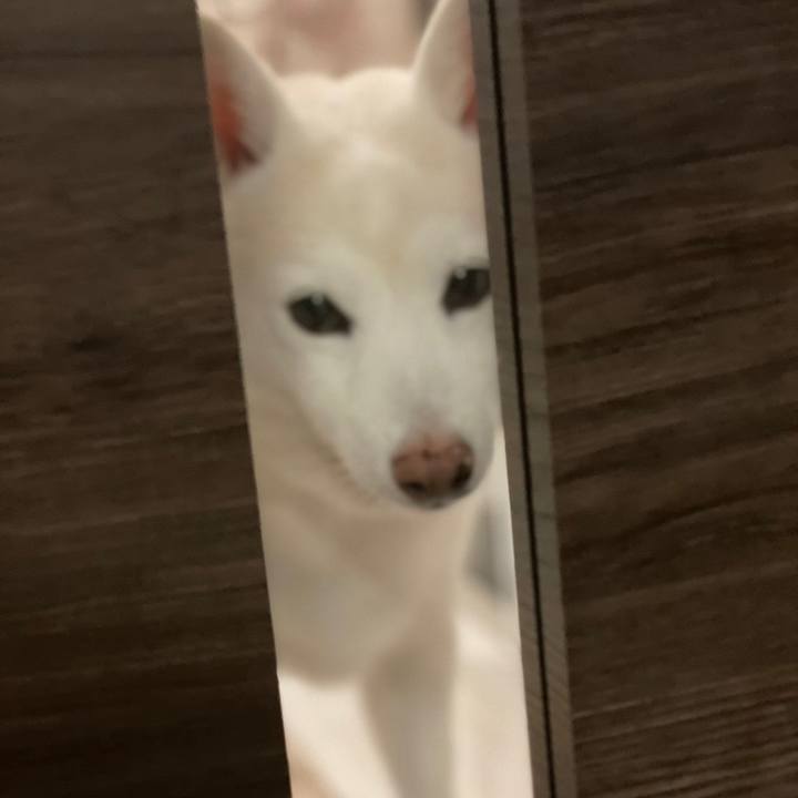 Fb746edf f1b2 46bd 88fa 55563c585ae9 1692867339083