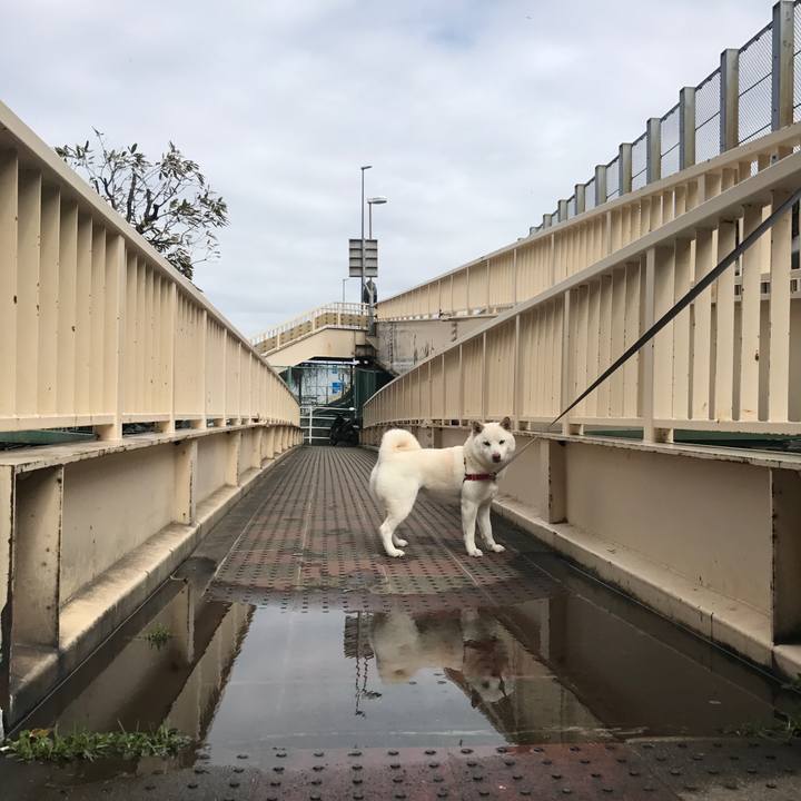 Fb74812e 921e 4a8a b234 670dcaca80d1 1520650680188