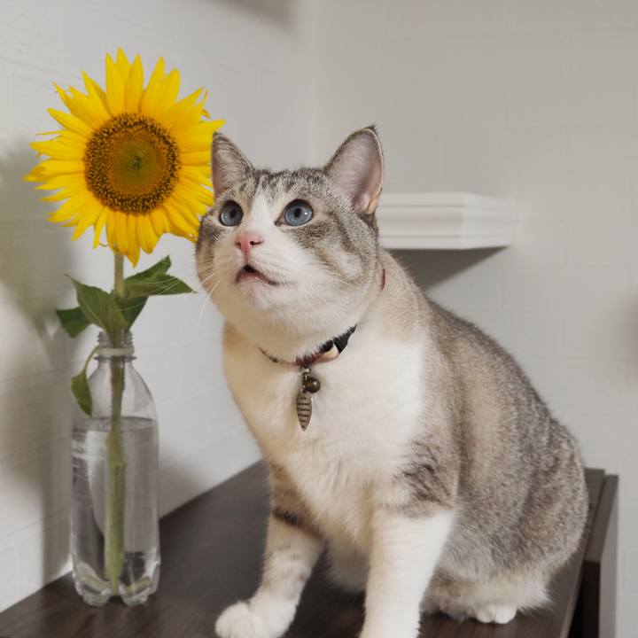 Fb749f63 61fc 4dfb 9e3e 95534d0c5083 1597052310374