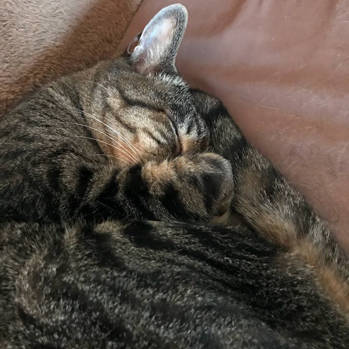 Fb754a0b b3dd 4ffa acb6 15a943145260 1532223506191