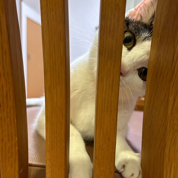 Fb7567d9 63d8 4044 a960 adb578957fb7 1720264686996