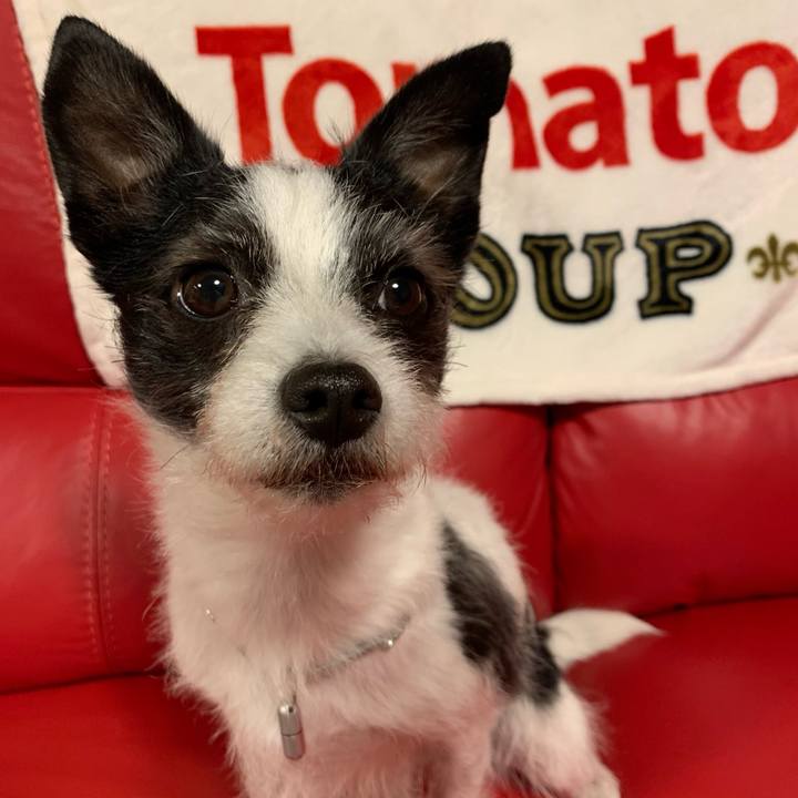 Fb75920d 4e44 4260 af33 7996caac35e9 1607341202991