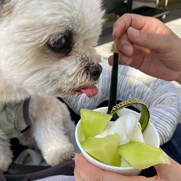 Fb75b77f d1c3 4692 8108 4eef26698c0c 1714735858314