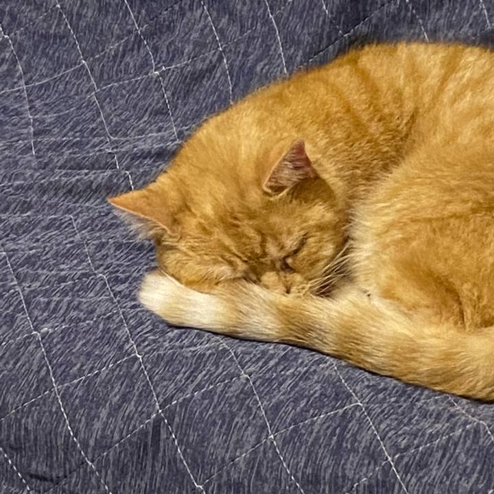 Fb75c44e b38a 4212 bd52 71ffa780d15a 1640872910044