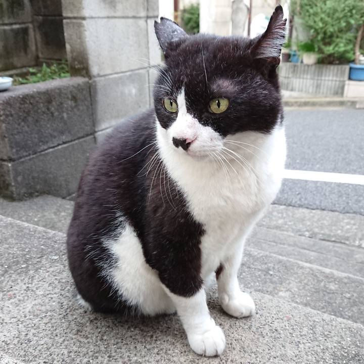 Fb75e685 f89a 4232 8333 aadff9cdfd40 1631002453850