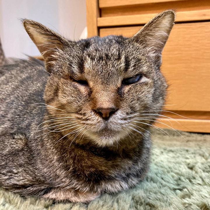 Fb75fb4f 0167 4eb9 bc87 c3ca570ab61f 1684919096830