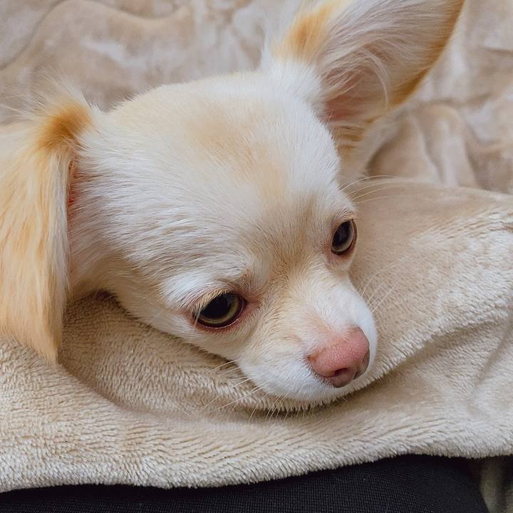 Fb7616e7 ec1d 4ce1 be0d a43e16d96634 1610599346736