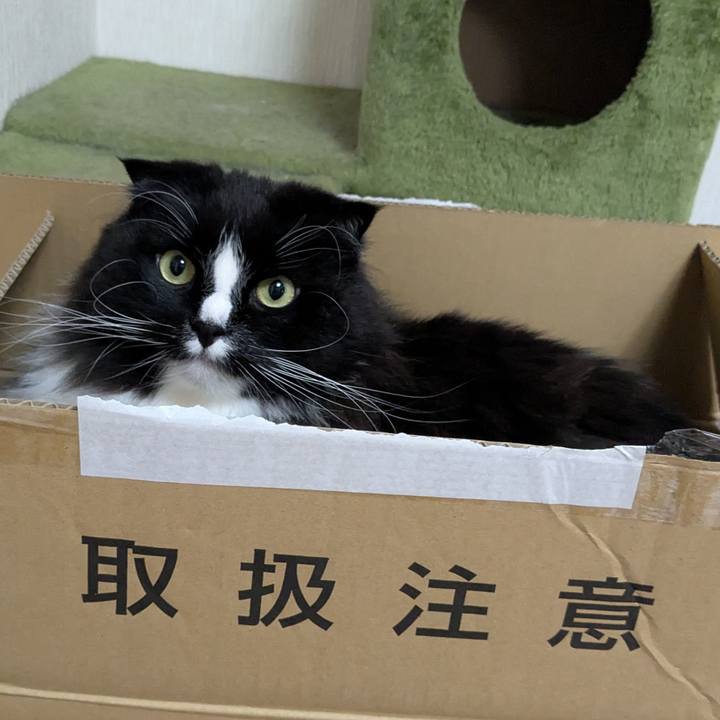 Fb76201c 50da 4af3 8871 8438fb1e3272 1742989011726