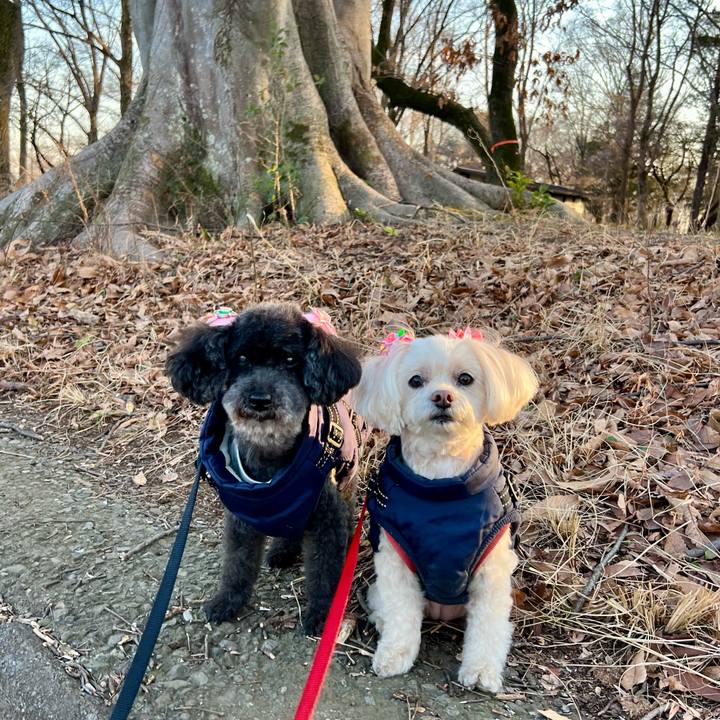 Fb762a45 5385 4903 b3b0 208f8d71a54d 1770368353474