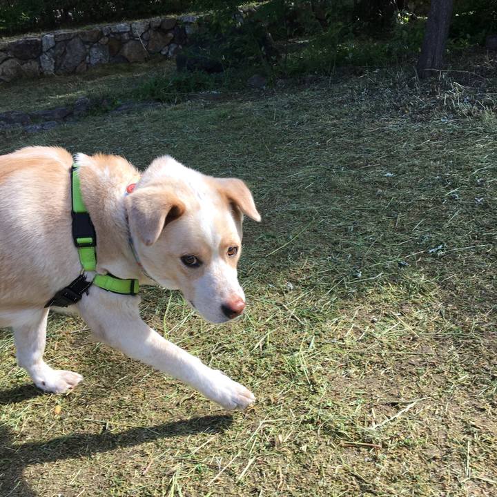 Fb7674be e250 453b b6b9 18a4a9872074 1525999511749