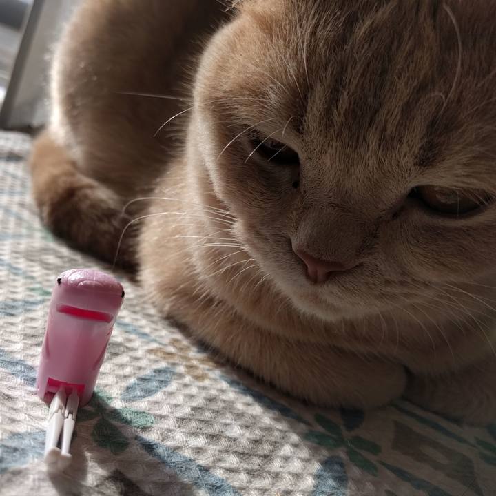 Fb769f1d fd73 48a5 8a19 3b8054cc7a32 1539499583466