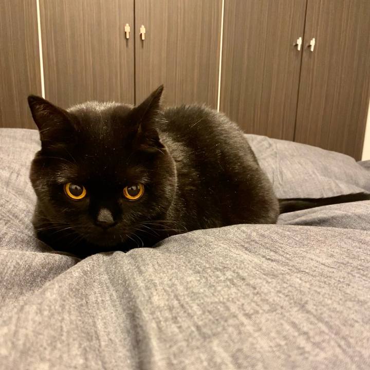 Fb76a16a a00d 42a5 8a23 81c9b76ef548 1669031315428