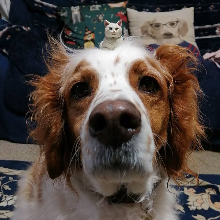 Fb76d4ed 0712 45ca a5c5 fed02f1eecea 1581163587238