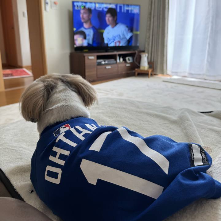 Fb76eda3 a099 4130 a31a aa8008c4cd20 1742449683748