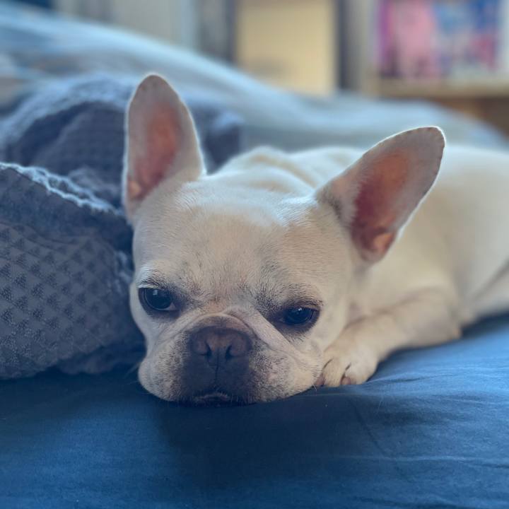 Fb76f21b c613 42cf 909b 91f03b264236 1728946260288