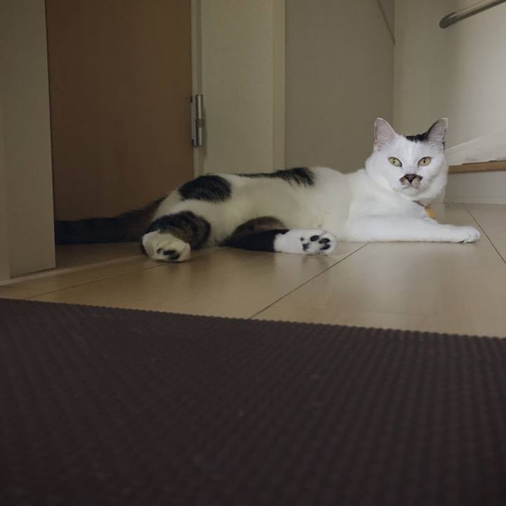 Fb7719d7 fcf2 4d34 94a5 ae1a3ff095ac 1537595959153