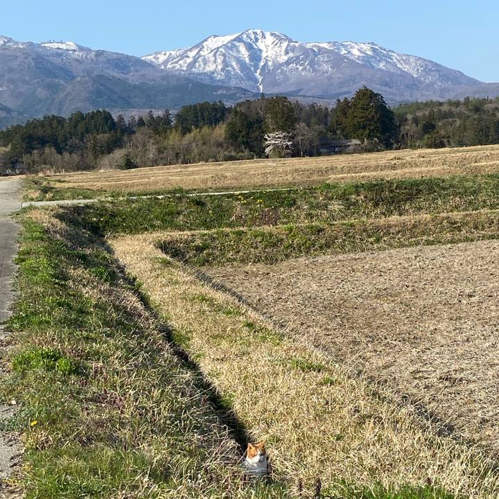 Fb7727fe f1a2 4e26 b2c9 79cf1ed9b942 1680517905807