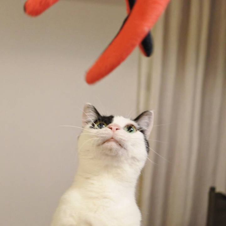 Fb778682 9e2f 4b11 9aa6 00bda83065dc 1538734686042