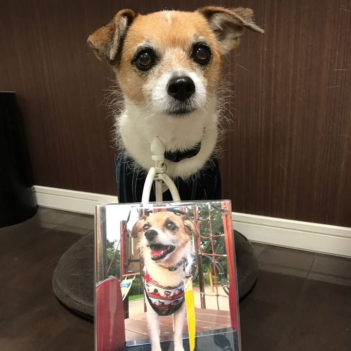 Fb77957a 9bb6 4f72 9561 f27753ab10d5 1575262912776