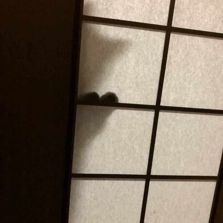 Fb77ac96 8294 4ece b5a0 9c459b599273 1519308182753