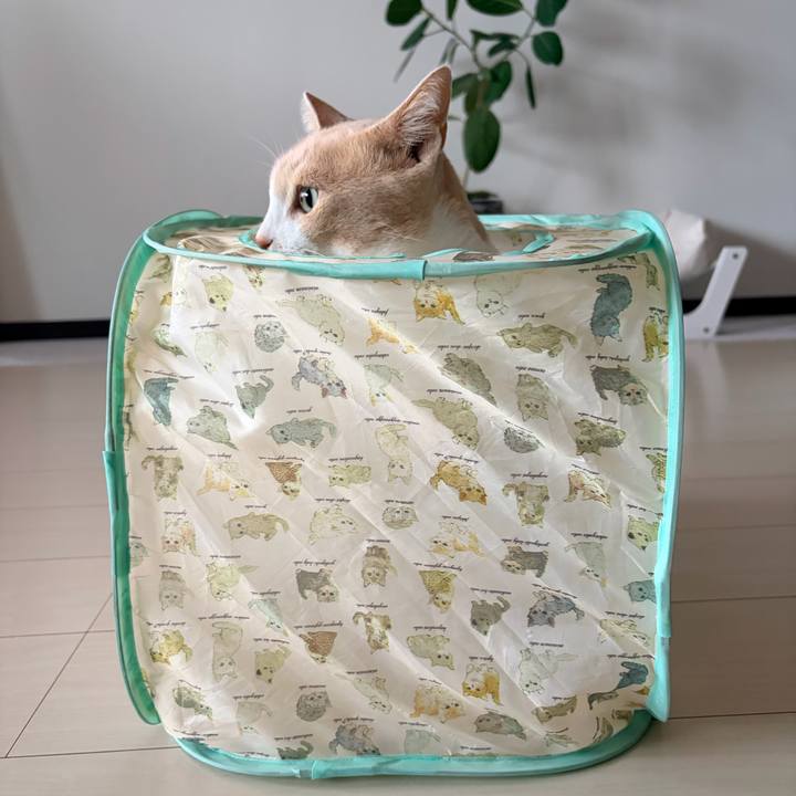 Fb77c845 23f0 427b 98ff 4b2b71f16b6e 1760751261395