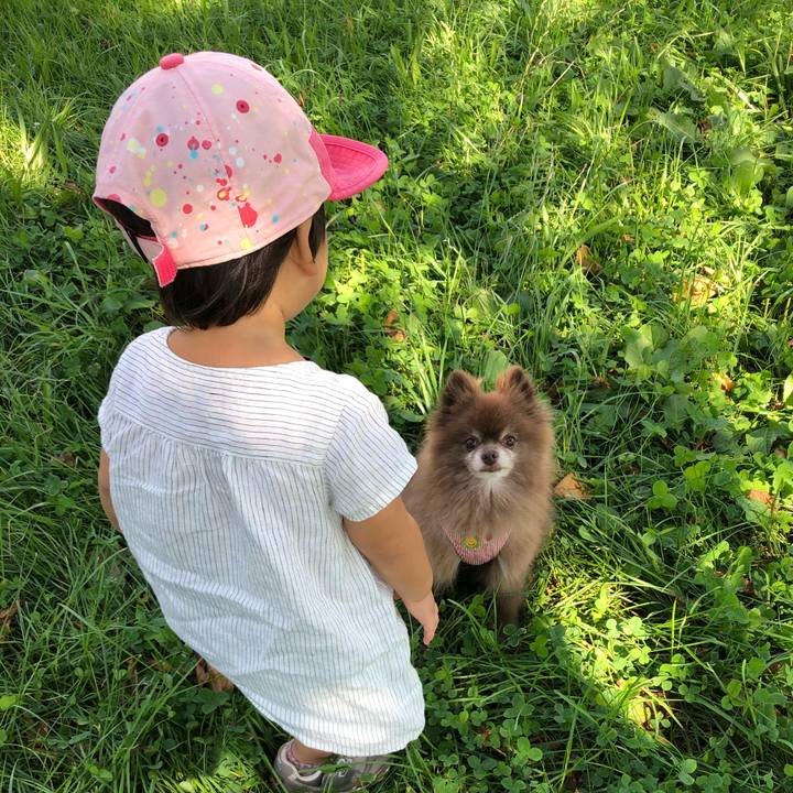 Fb77d378 10ff 4131 8f2d cfc160c05198 1600496541685