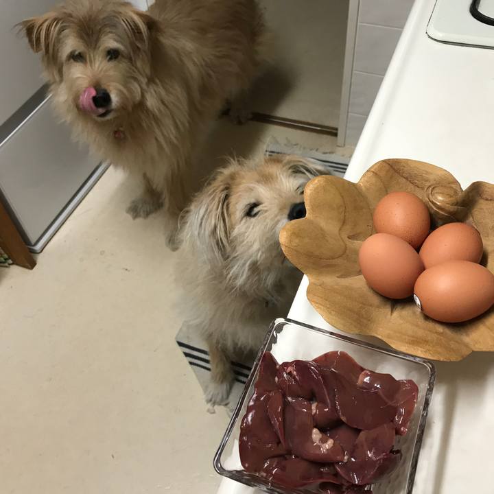 Fb77e883 3999 4b8c a18f 2e5cc9ac89e0 1554380931773