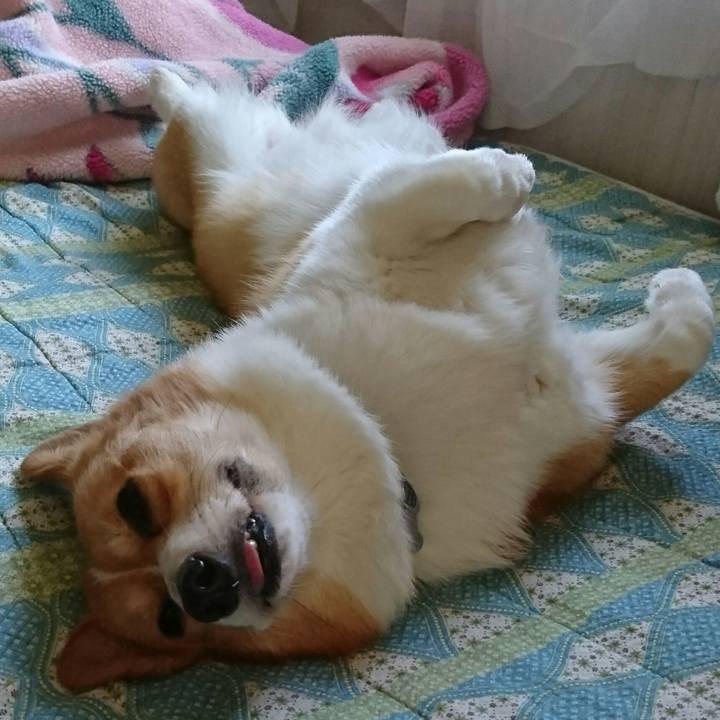 Fb7819e2 adfa 44df 9df5 dcfe6b6a6958 1527810800063