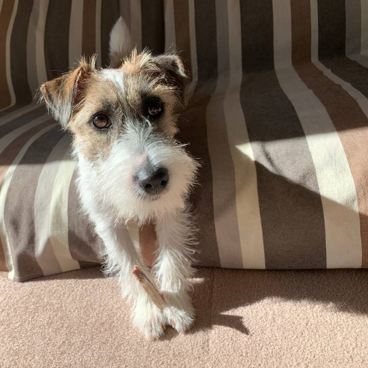 Fb781d6a bf2e 4c62 8f14 a8604a3d363c 1574219589286