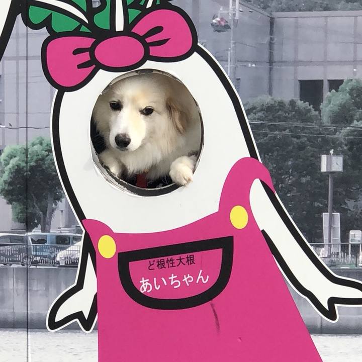 Fb7889f4 b1f1 4fa8 adf1 98abcc597d48 1525305067762