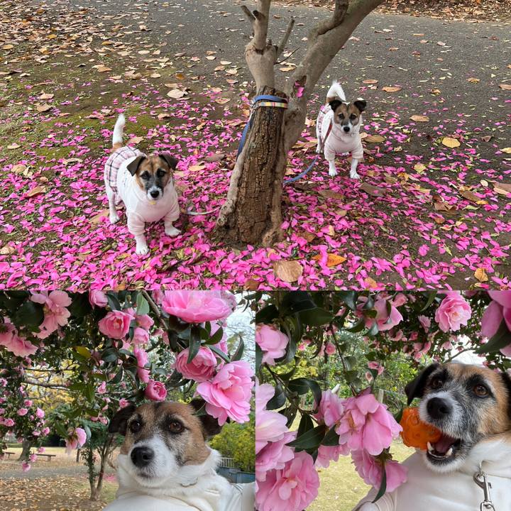 Fb789702 27ee 4d59 a76a dd696b42fa36 1668922451158