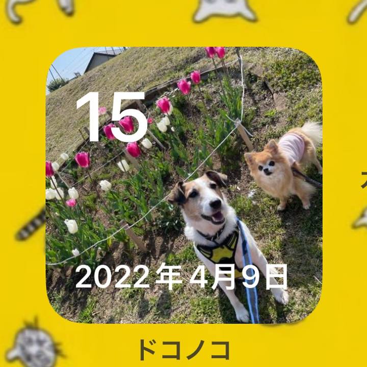 Fb79055c 3ad7 4cf4 82c5 e4f007d1e50d 1681589964163